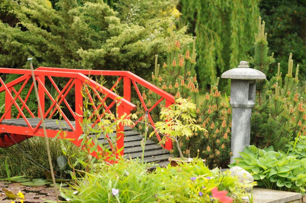 A read bridge in a japanese garden